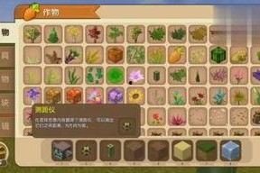 娱乐吃瓜狐狸,揭秘娱乐圈幕后故事